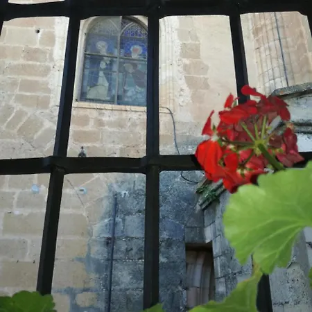 아파트 라 콜레히아타 데